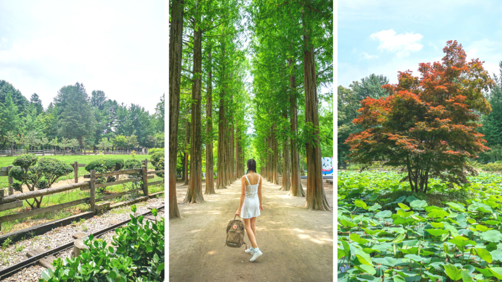 Best Places on Nami Island you should Come