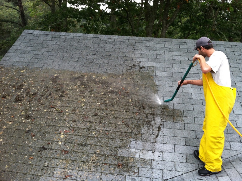 roof-cleaning-tips