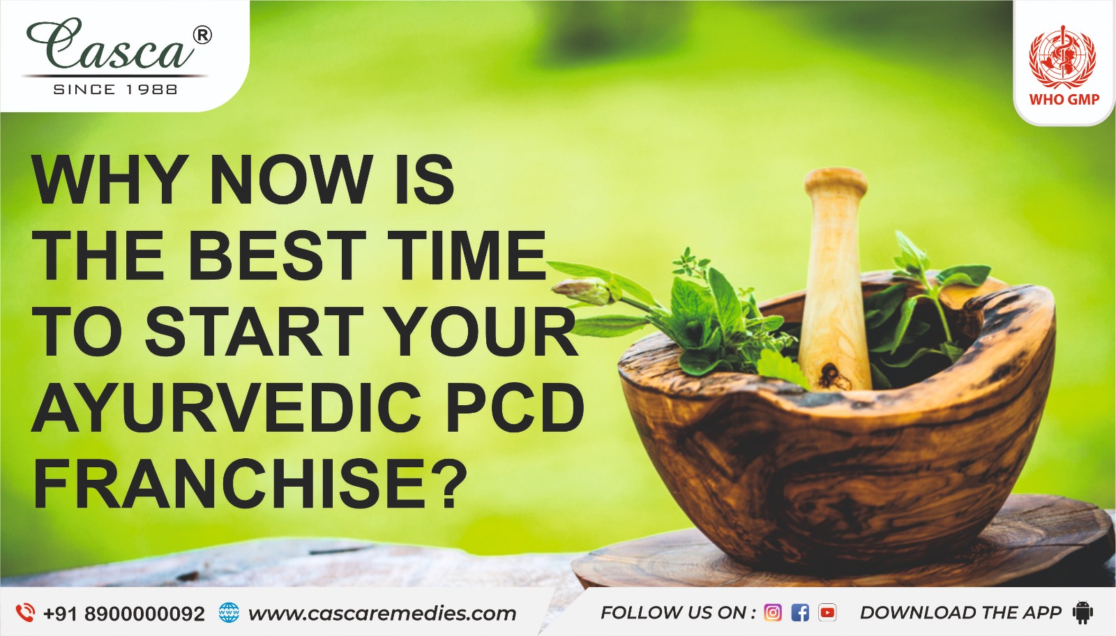 Why now is the best time to start your Ayurvedic PCD franchise