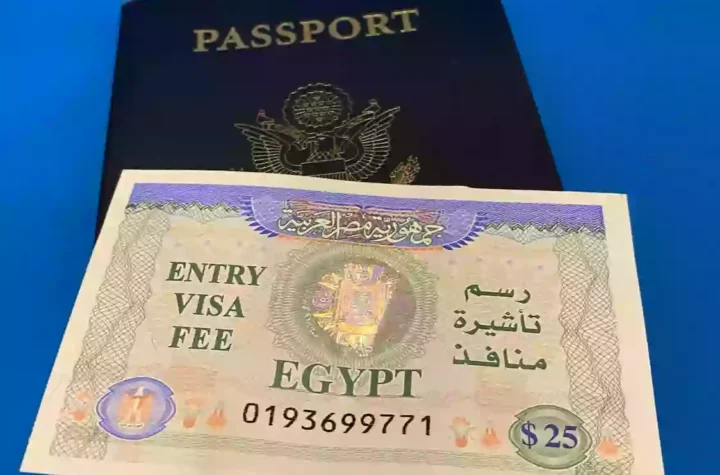 EGYPT VISA ELIGIBILITY CHECKER TOOL AND CHECK STATUS