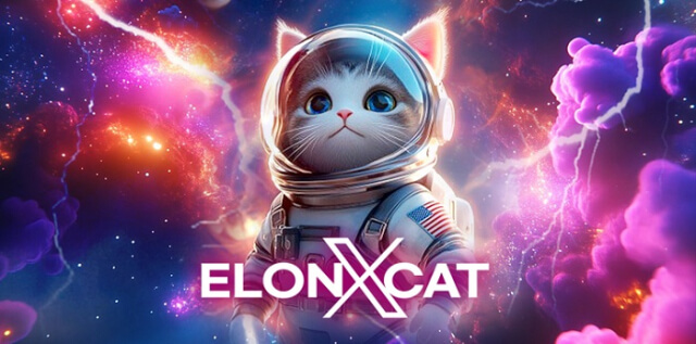 elonxcat