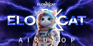 elonxcat